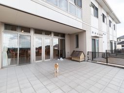 テラスにいる犬の様子