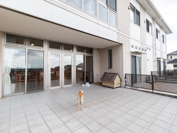 テラスにいる犬の様子