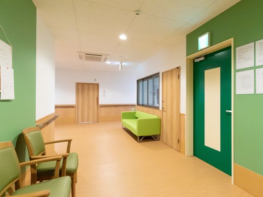 緑色の壁が映える廊下