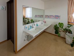 清潔な洗面台と植物