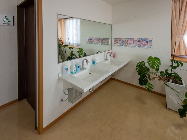 清潔な洗面台と植物