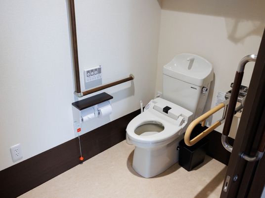 手すり付きの明るいトイレ