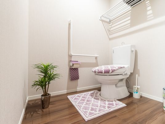 清潔なトイレの一角