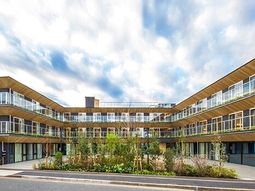 現代的なデザインの中庭