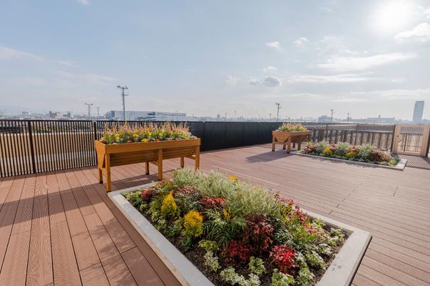 屋上庭園の明るい昼間