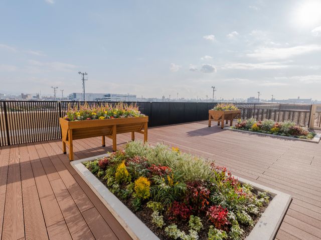 屋上庭園の明るい昼間 屋上庭園 開放感ある屋上庭で、四季を感じながらリフレッシュができる環境が整っています。快適な屋外スペースをお探しの方に適した場所です。