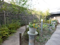 中庭の緑や花