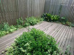 緑豊かな中庭の角度