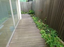 木製の歩道と緑の植物