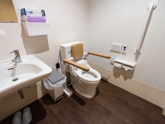 手すり付トイレの内観