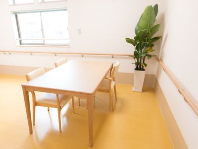 明るい空間のテーブルと植物