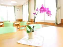 明るい食堂の一角