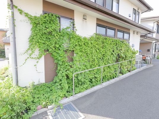 緑に囲まれた施設の外観