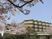 桜と施設の外観  