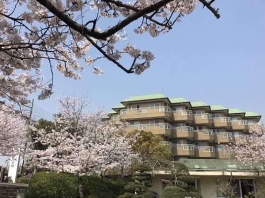 桜と施設の外観  