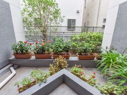 中庭の植物と装飾