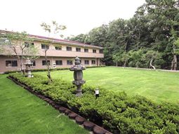 緑豊かな庭の景観