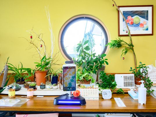 円窓と植物のある机