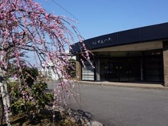 施設の外観 外観 青空の下に落ち着いた外観が広がり、桜の枝が季節感を添えています。出入口まわりが見え、働く環境の雰囲気を確認しやすいです。
