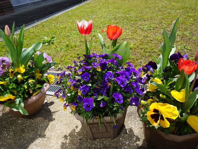 花壇のある庭 庭   色とりどりの花が鉢植えで並ぶ、明るい屋外スペースです。季節の彩りを感じられる環境は、働く場の雰囲気をやわらかくしてくれます。