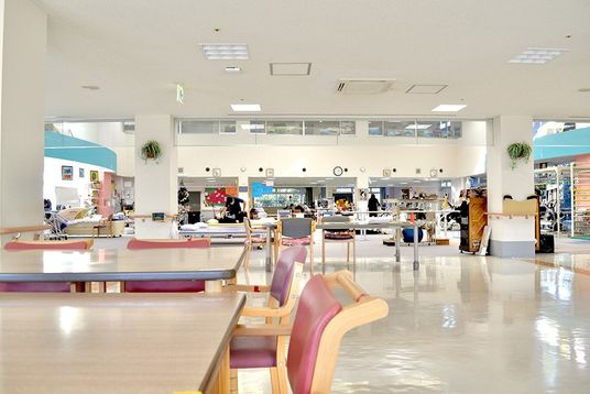 穏やかな食堂の空間