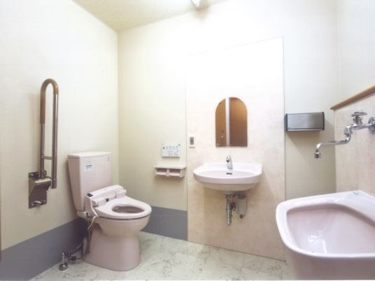 整った環境の介護用浴室