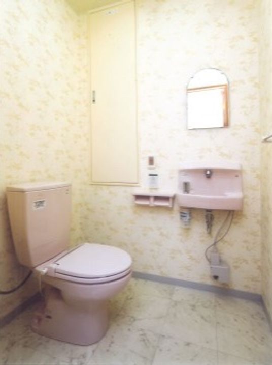 手入れされたトイレ