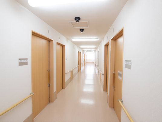 大きな引き戸の横にはシルバーのパネルがあり、部屋番号などが表示されている。通路の奥には窓があり、光が差し込んでいる。