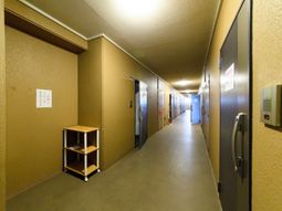 清潔な廊下の様子