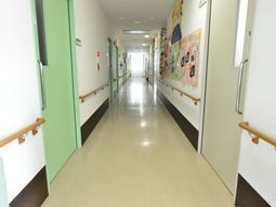明るい廊下と掲示物