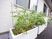 植物が添えられた外観
