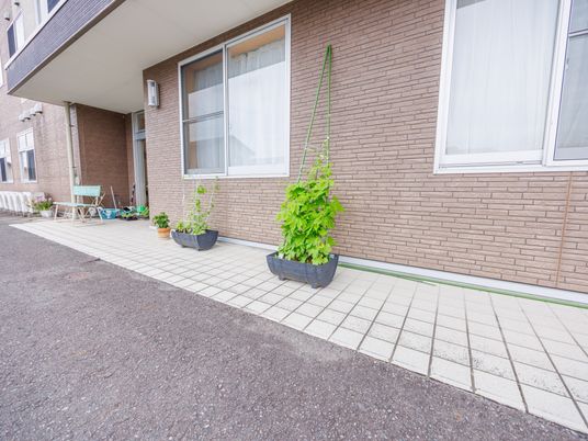 建物外の植栽沿い通路  