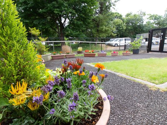 彩り豊かな緑豊かな庭