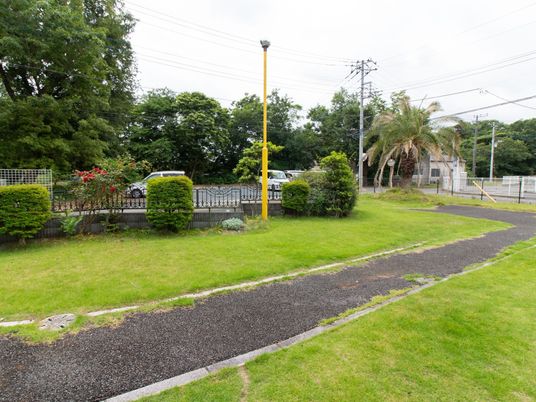 快適な中庭の風景