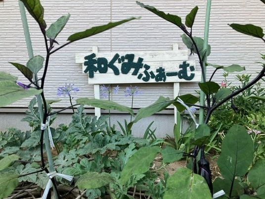 手入れされた中庭風景