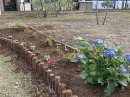 花壇のある中庭  