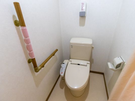 手すり付き清潔なトイレ