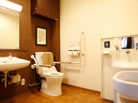 トイレと洗面所が整っている。便器の上には額入りの絵が飾られている。横の壁には緊急連絡のボタンがある。