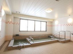 清潔な浴室の内観