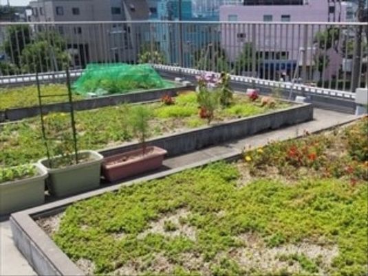 屋上緑化された中庭
