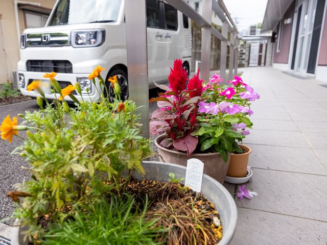 彩り豊かな花と玄関 エントランス 玄関に設えられた色とりどりの花々が、訪れる方々を優しく迎えています。明るい雰囲気で日々の暮らしに彩りを添えてくれます。