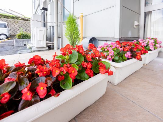 彩り豊かな植栽のエントランス