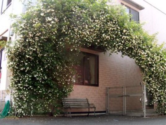 植物に囲まれた施設外観