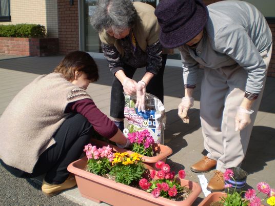 中庭の花植え風景