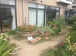 多彩な花々の中庭