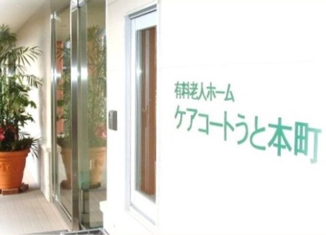 エントランスの観葉植物