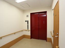清潔な廊下とエレベーター