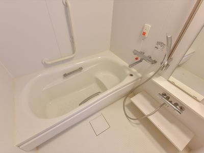 手すり付き清潔な浴室