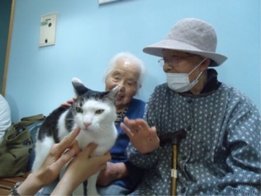 利用者が猫と触れ合う場面