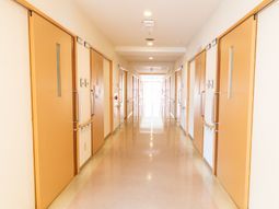 清潔な廊下と各部屋の扉